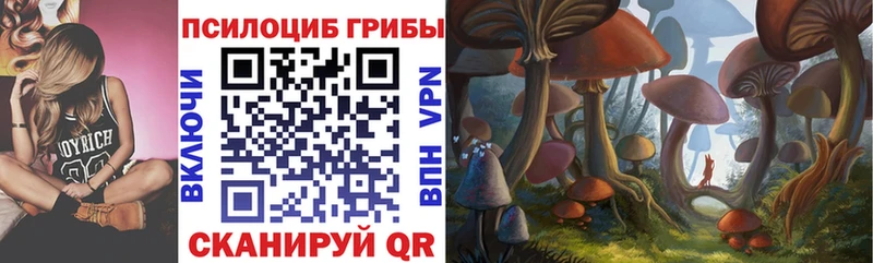 Купить  Артёмовск  Псилоцибиновые грибы GOLDEN TEACHER 